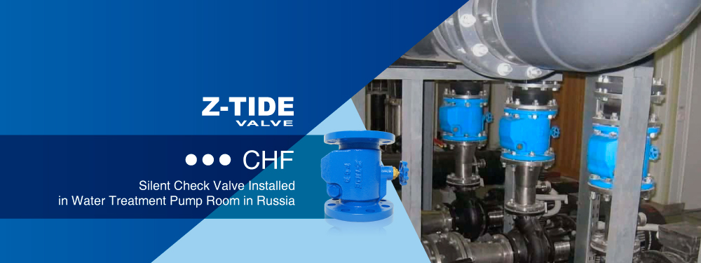 Silent Check Valve Installed in Water Treatment Pump Room System in Russia