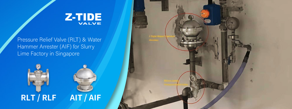 Direct Acting Pressure Relief Valve and Water Hammer Arrester for Slurry Lime factory in Singapore Z-Tide Direct Acting Pressure Relief Valve and Water Hammer Arrester for Slurry Lime factory in Singapore